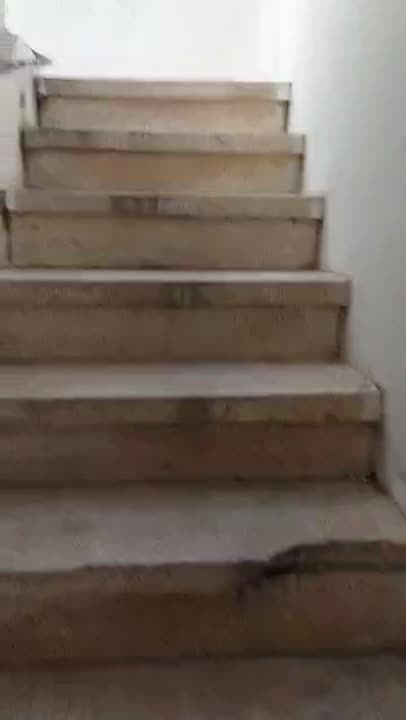 بيت عربي للبيع  طريق المطار شبعا حارة الحمص 