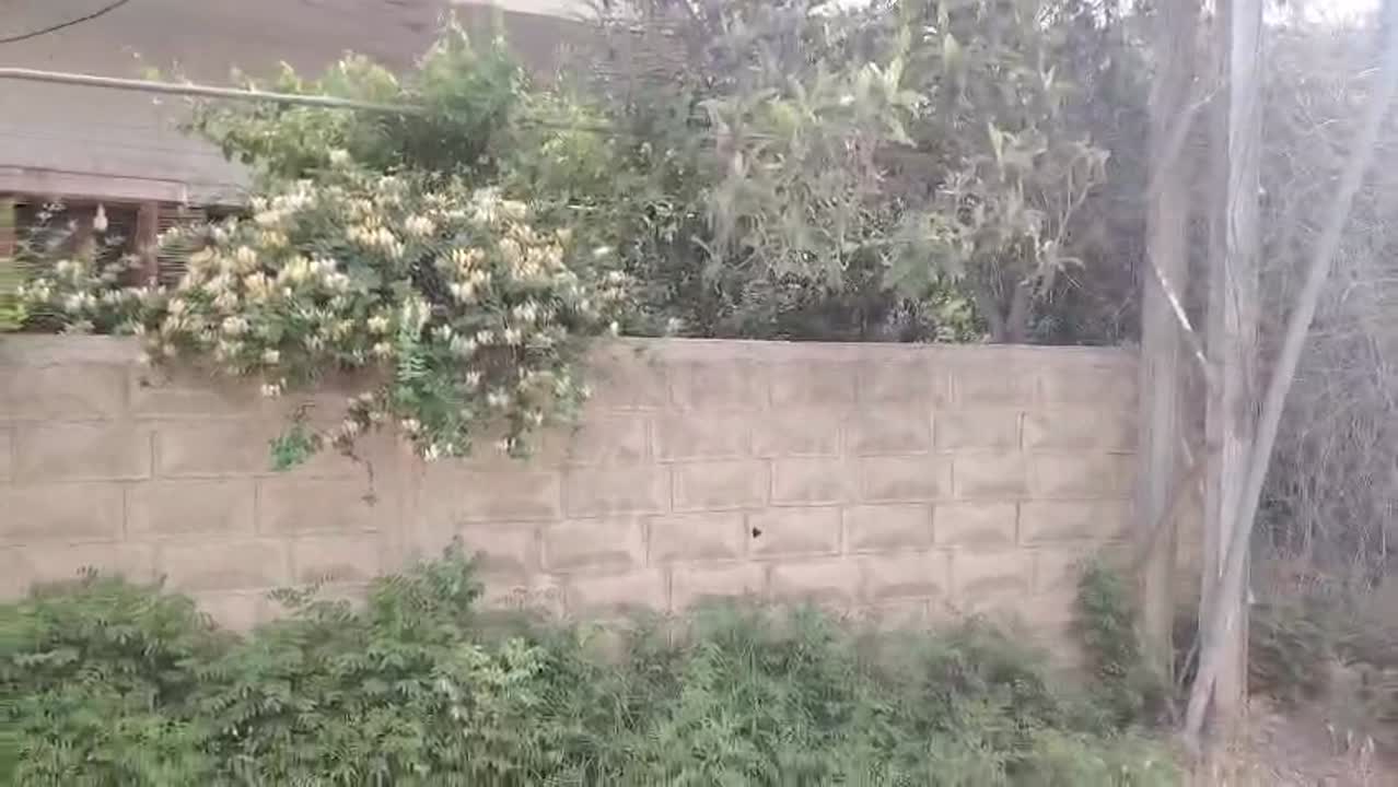 بيت عربي للبيع 
