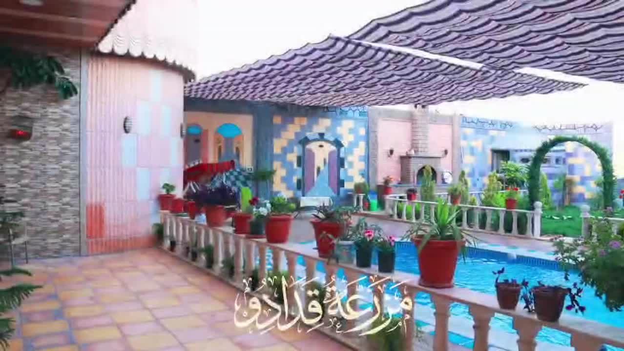 مزرعه للايجار شكل يومي