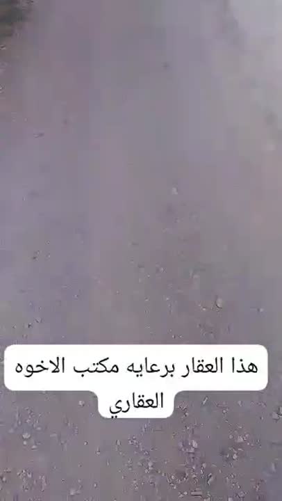 ارض زراعيه في مدينه تدمر للبيع مساحه 2500 متر