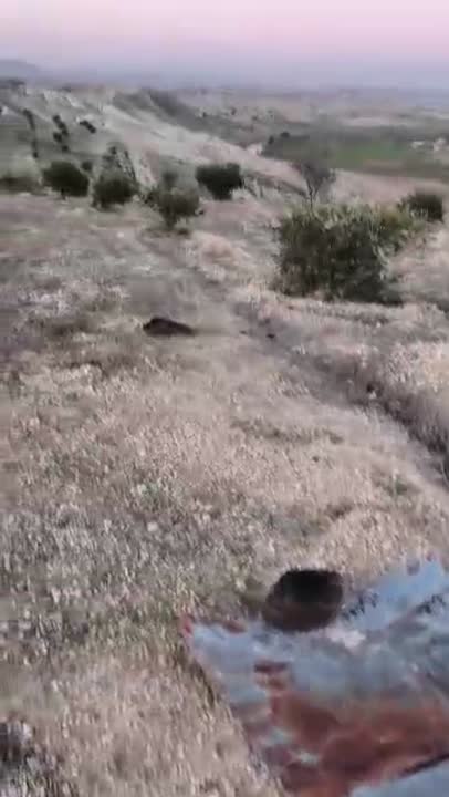 ارض زراعية في حماة بمنطقة جرنية العاصي 