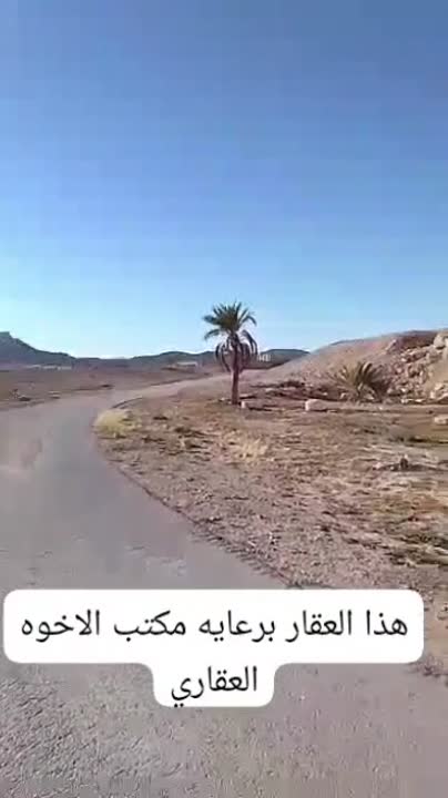بستان برسم البيع مقابيل معبد تدمر