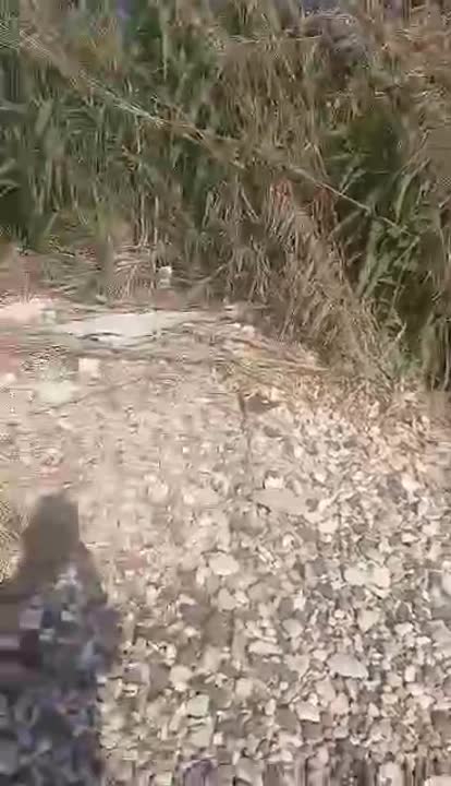 ارض بحرية بين طرطوس وبانياس واجه عالبحر ٦٠ متر 