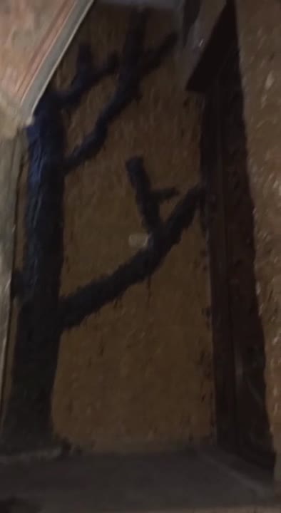 بيت كله سيراميك جاهز من كل شيء  البيع  بيت بالسكري ثلاث السكري 