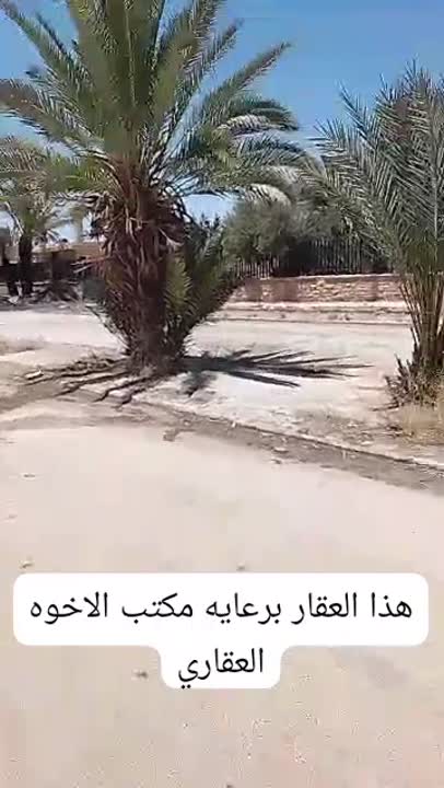 شقه ارضيه لرسم البيع في مدينه تدمر مقابيل متحف مدينه تدمر