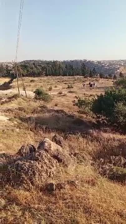 ارض على استراد رستن وطابو 