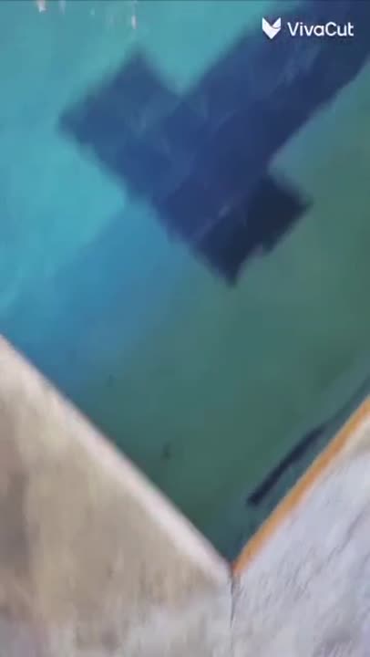 مزرعه للايجار طريق المطار الجسر الخامس ورا مطعم نسمه شام كهربا نت 24 