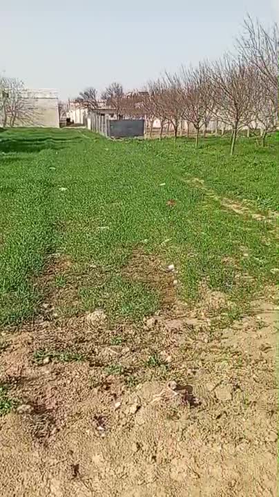 ريف دمشق طريق المطار عقربا خلف المطار 