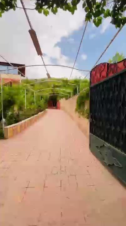 زبداني تكيه سهل زبداني 