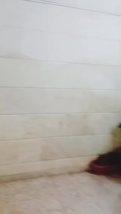 للبيع منزل سوبر ديلوكس في حلب الجديدة بسعر 155,000 دولار