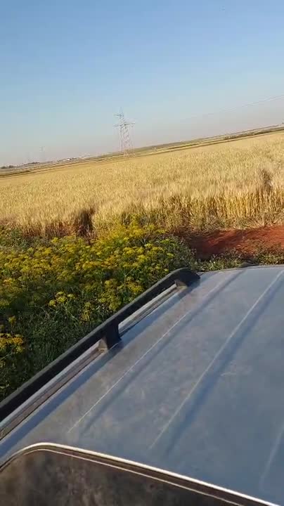 أرض زراعية للبيع في أتارب، كفر حلب - 50000 م²، طابو نظامي