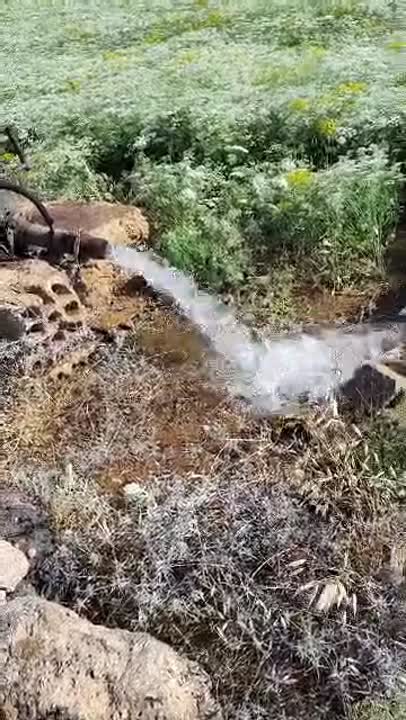 أرض للبيع بعد خان الشيح الحسينية 