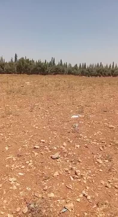 يوجد لدينا ارض مساحه 60 دونم الموقع الاوراس طابو اخضر 