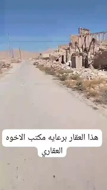 مزرعه البستان أرض فارغه للبيع  في تدمر الأثرية بمساحة 1500م² 
