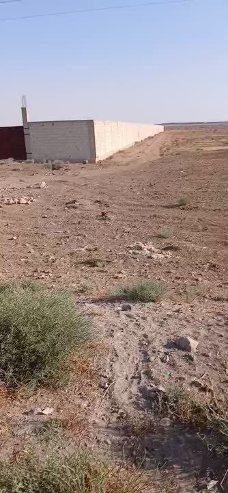 أرض زراعية مصونة بل كامل  للبيع في تل مسكن علا طريق العام - 14000 م²