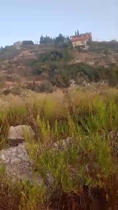بيع أرض زراعية في بيت السلطان بطرطوس بسعر مغري