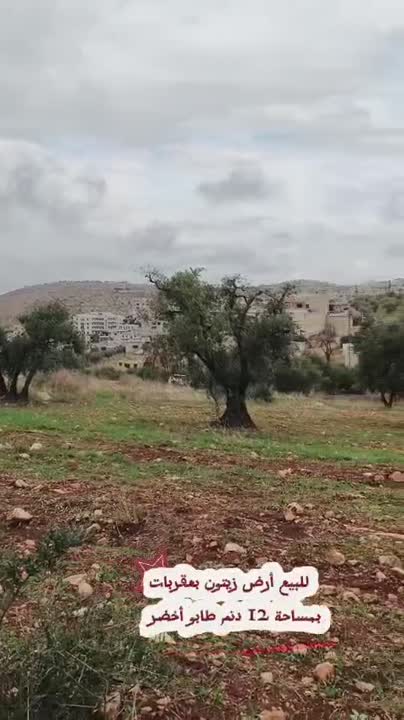 للبيع ارض زراعيه تجاريه 12دلم طابو اخضر  سعر النتر 6$