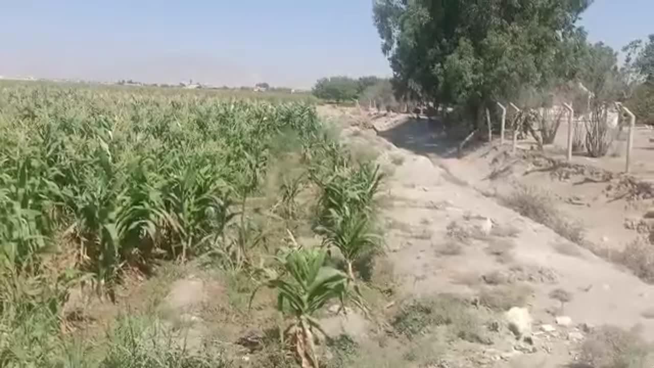 للبيع ٢٢٠٠ متر حوش الصالحيه طابو