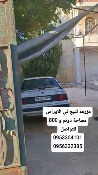 للبيع مزرعه حمص الأوراس تجهيز ممتاز 