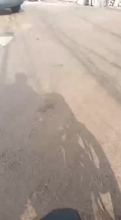 ارض للبيع زراعيه 