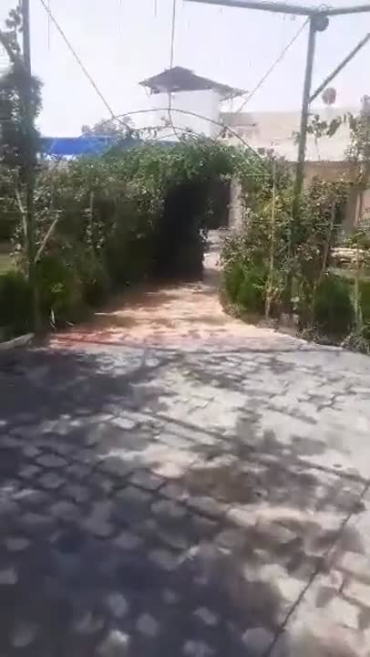 للبيع مزرعه مفرق حرستا القنطره عطريق العام