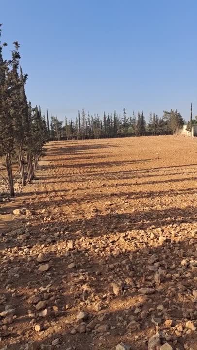 للبيع أرض مساحة ثماني دونمات فيها بئر ماء محاطة بشجر سرو