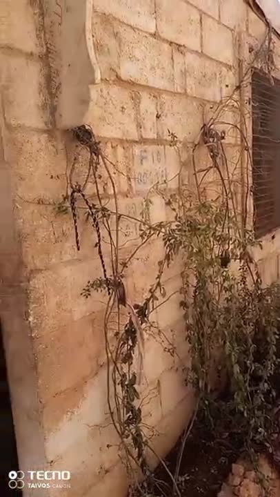 للبيع بيت سقف شادر موجود قبلي سرمدا شرقي كللي