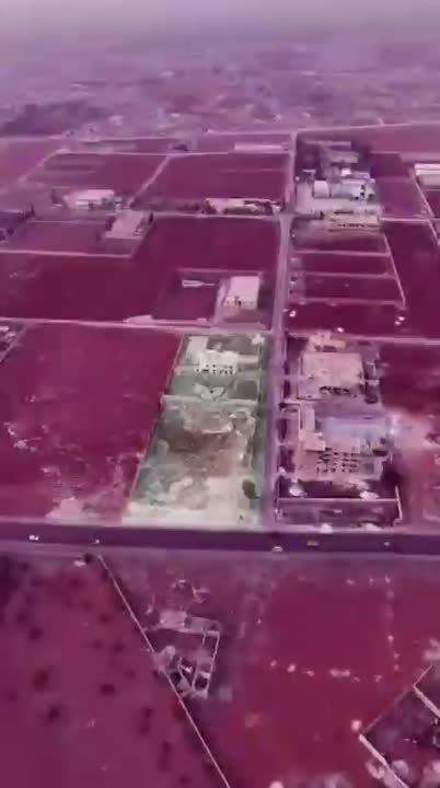 طريق العسل جامع المحمود على الرئيسي 10.000 م في طابخين