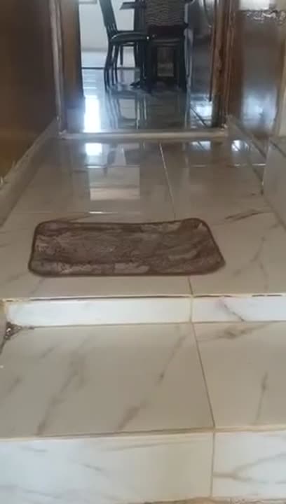 للبيع شقة بمساكن برزة مساحة ٦٥م 