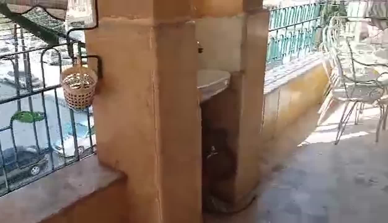 للبيع حلب شارع النيل