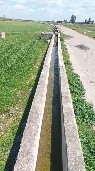 أرض زراعية على طرف النهر 