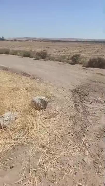 أرض زراعية للبيع في جمعة الحمام بالمنصورة، الرقة